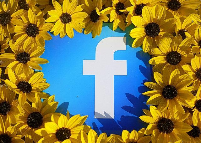 Facebook sunflowers